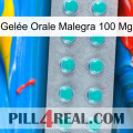 Gelée Orale Malegra 100 Mg 28